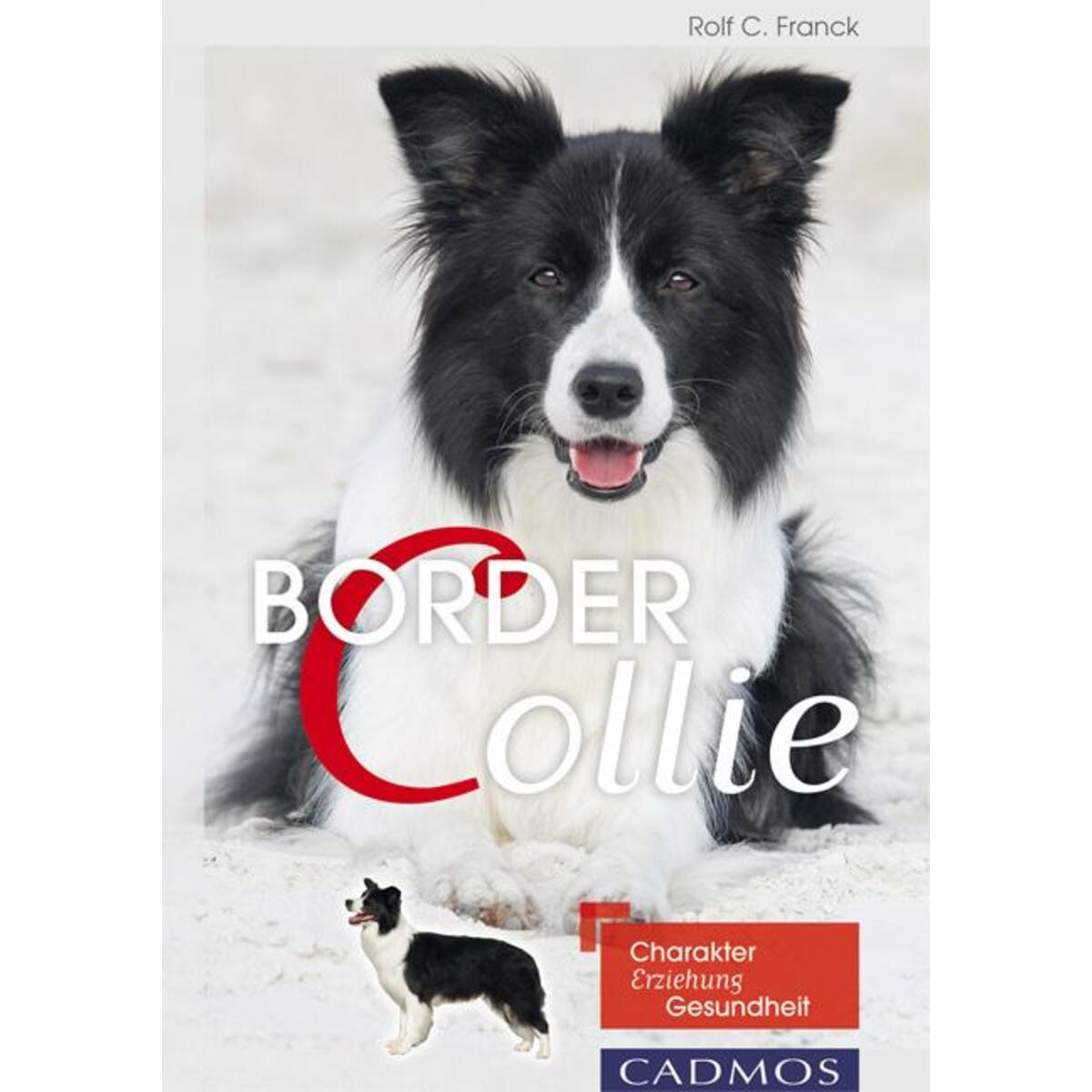 Border Collie von Cadmos Verlag GmbH