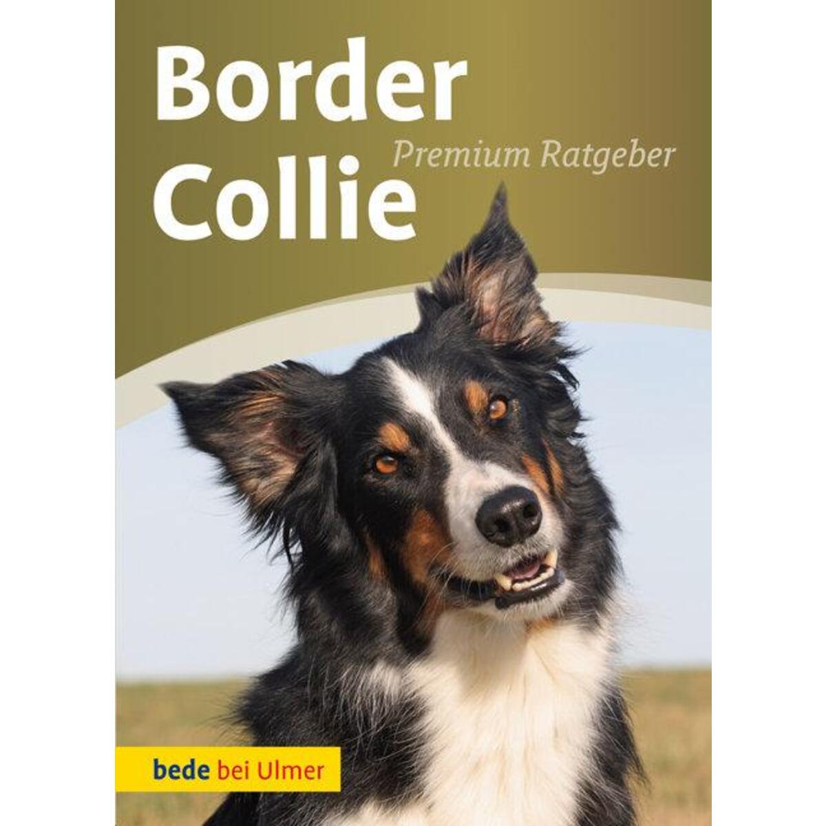Border Collie von Ulmer Eugen Verlag