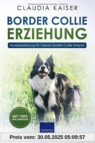 Border Collie Erziehung: Hundeerziehung für Deinen Border Collie Welpen (Border Collie Band, Band 1)
