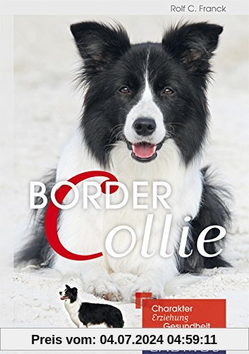 Border Collie: Charakter, Erziehung, Gesundheit