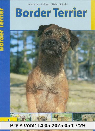 Border Terrier, Praxisratgeber