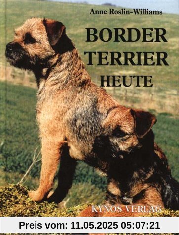 Border Terrier heute Border Terrier heute