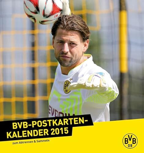 Borussia Dortmund Postkartenkalender 2015 von Heye