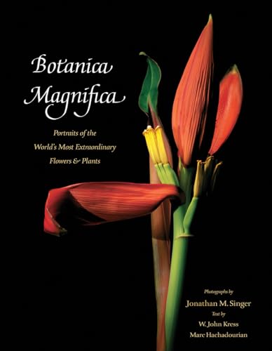 Botanica Magnifica: Portraits of the World's Most Extraordinary Flowers and Plants: Portraits of the World's Most Extraordinary Flowers & Plants (Tiny Folio)