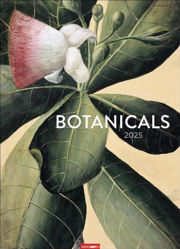 Botanicals Kalender 2025: Jahres-Wandkalender 2025. Imposante Blätter-Kunst im Retro-Look. Historisch-botanische Zeichnungen, zeitgemäß inszeniert. ... Kunstkalender im Großformat 49 x 68 cm von Weingarten
