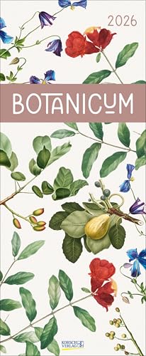 Botanicum 2026: Kunstkalender mit naturgetreuen und detailreichen Pflanzendarstellungen. Wandkalender im Hochformat: 28,5 x 69 cm von Korsch Verlag