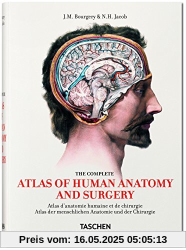 Bourgery. Atlas der menschlichen Anatomie und der Chirurgie