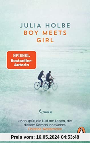 Boy meets Girl: Roman