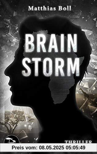 Brainstorm: Ein Kriminalroman aus Südafrika (Kriminalromane aus Südafrika)