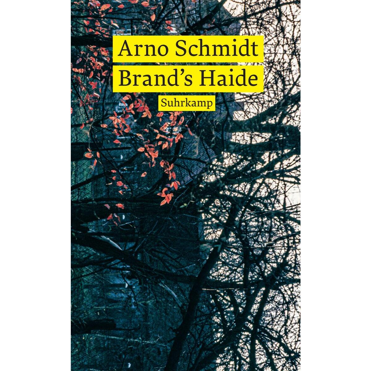 Brand's Haide Brand's Haide von Suhrkamp Verlag