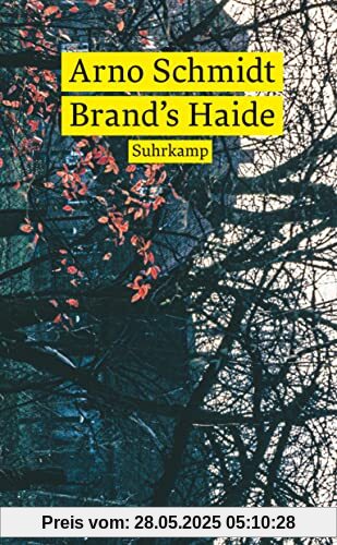 Brand’s Haide: Roman (suhrkamp taschenbuch)
