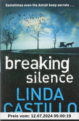 Breaking Silence (Kate Burkholder 3)