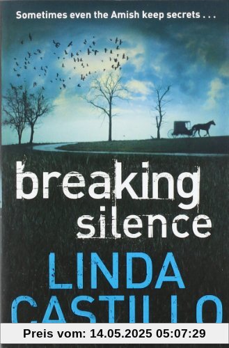 Breaking Silence (Kate Burkholder 3)