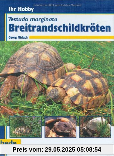 Breitrandschildkröten, Ihr Hobby Breitrandschildkröten, Ihr Hobby