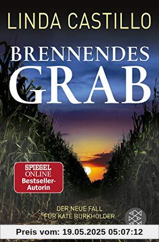 Brennendes Grab (Kate Burkholder ermittelt)