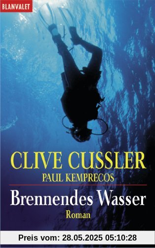 Brennendes Wasser: Ein Kurt-Austin-Roman