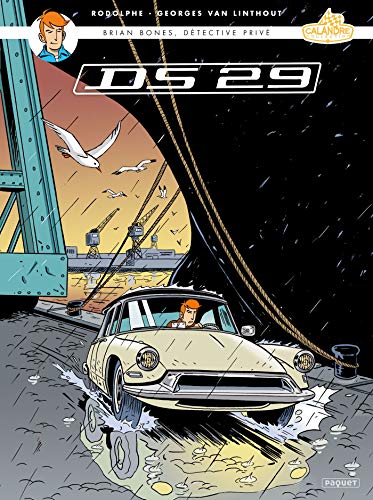 Brian bones T4: DS 29