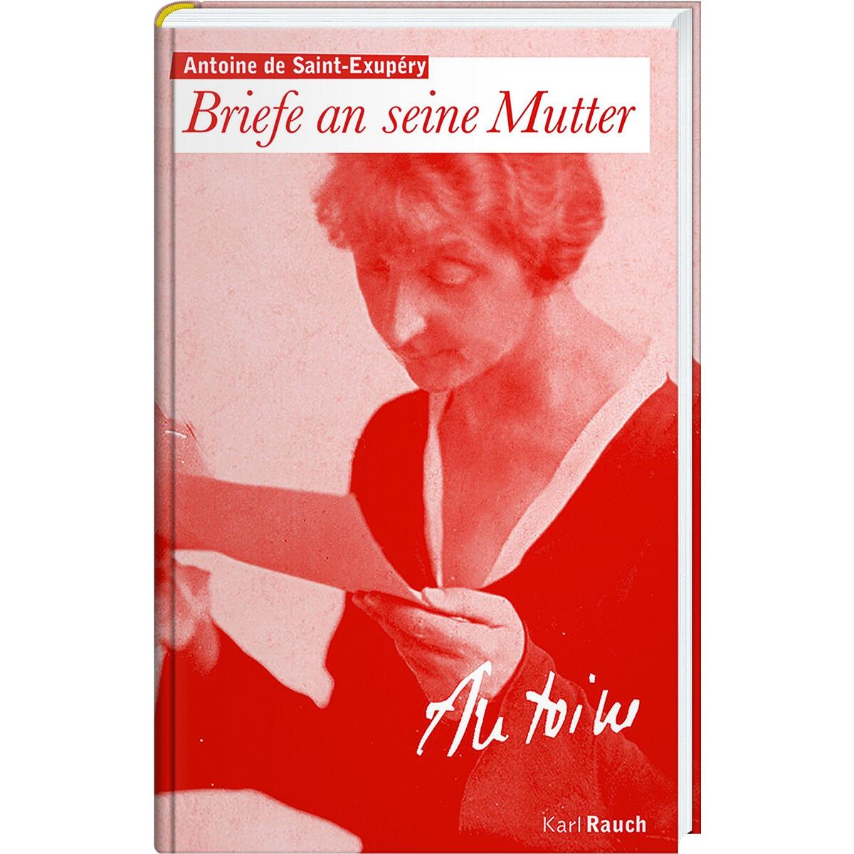 Briefe an die Mutter von Rauch, Karl Verlag