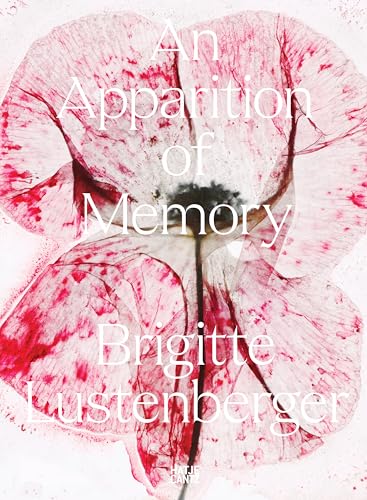 Brigitte Lustenberger: An Apparition of Memory von Hatje Cantz