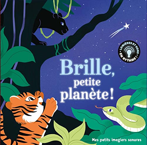 Brille, petite planète !: 5 musiques - 5 images - 6 lumières von GALLIMARD JEUNE