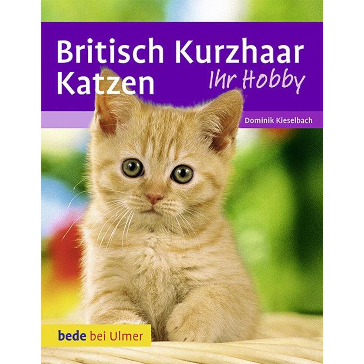 Britisch Kurzhaar Katzen von Ulmer Eugen Verlag