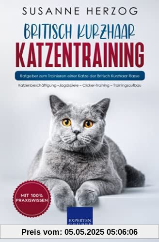 Britisch Kurzhaar Katzentraining: Ratgeber zum Trainieren einer Katze der Britisch Kurzhaar Rasse