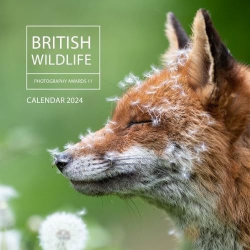 British Wildlife Photography Awards Calendar 2024 von Graffeg Limited