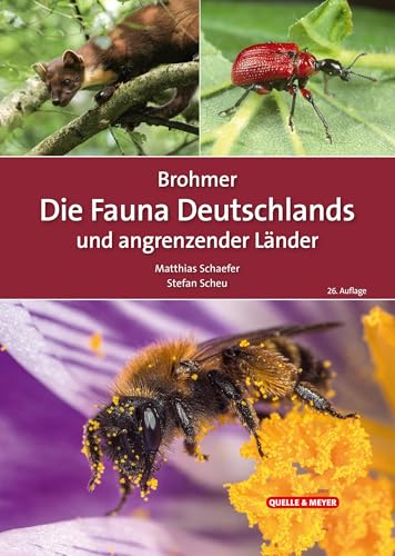 Brohmer – Die Fauna Deutschlands und angrenzender Länder: Ein Bestimmungsbuch unserer heimischen Tierwelt (Quelle & Meyer Bestimmungsbücher) von Quelle + Meyer