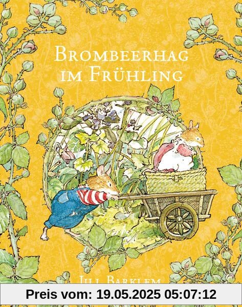 Brombeerhag im Frühling