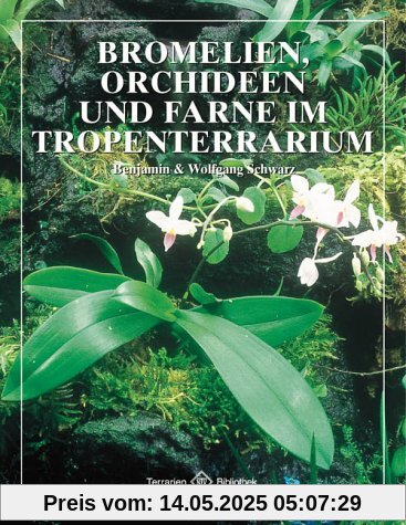 Bromelien, Orchideen und Farne im Tropenterrarium