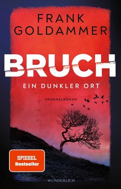 Ein dunkler Ort / Felix Bruch Bd.1 von Wunderlich