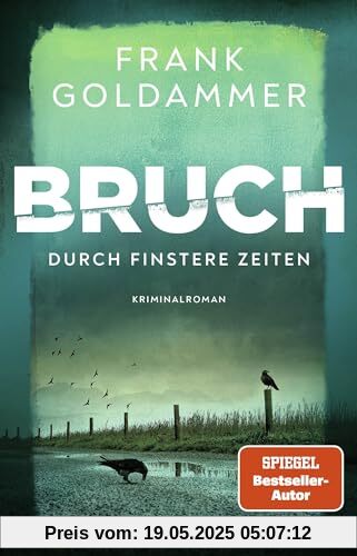 Bruch: Durch finstere Zeiten: Roman