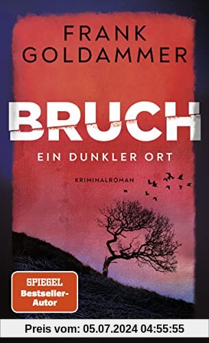 Bruch: Ein dunkler Ort (Felix Bruch, Band 1)