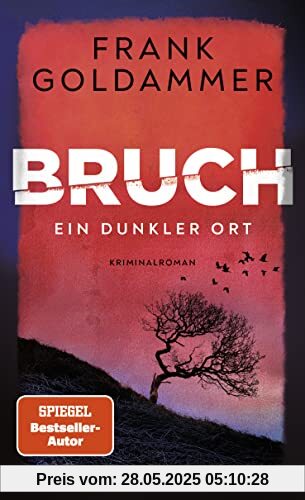 Bruch: Ein dunkler Ort (Felix Bruch, Band 1)