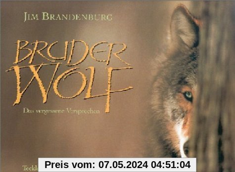 Bruder Wolf: Das Vergessene Versprechen