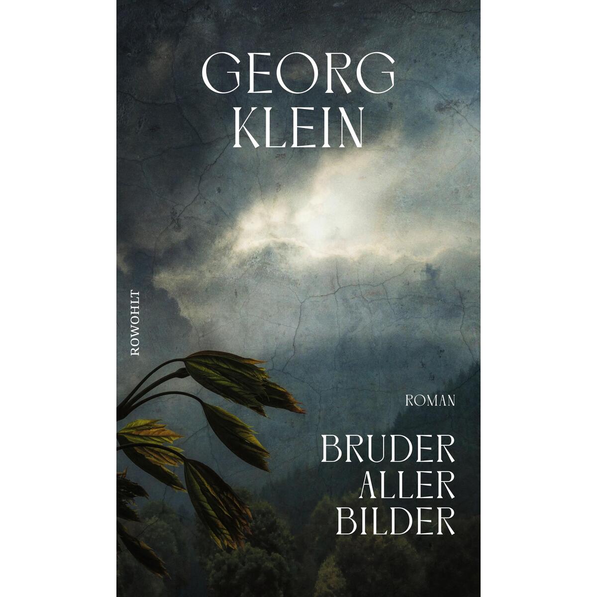 Bruder aller Bilder von Rowohlt Verlag GmbH