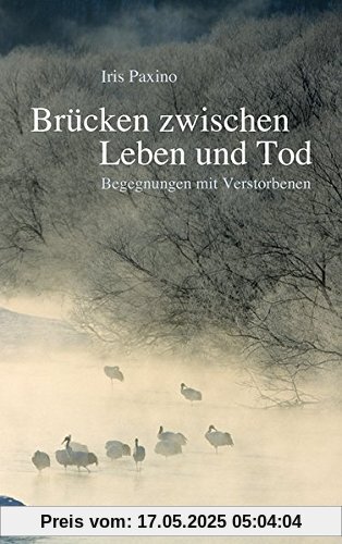 Brücken zwischen Leben und Tod: Begegnungen mit Verstorbenen