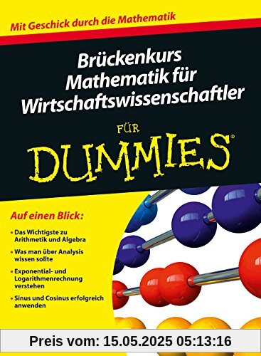 Brückenkurs Mathematik für Wirtschaftswissenschaftler für Dummies (Fur Dummies)