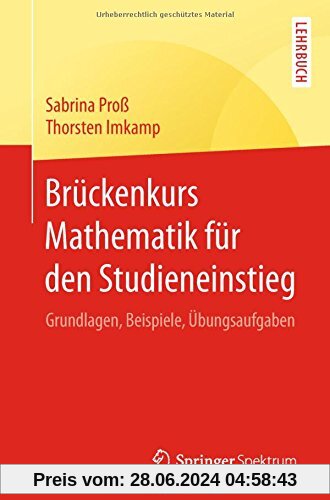 Brückenkurs Mathematik für den Studieneinstieg: Grundlagen, Beispiele, Übungsaufgaben