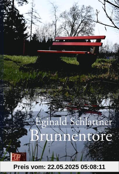 Brunnentore: Roman (Epik)
