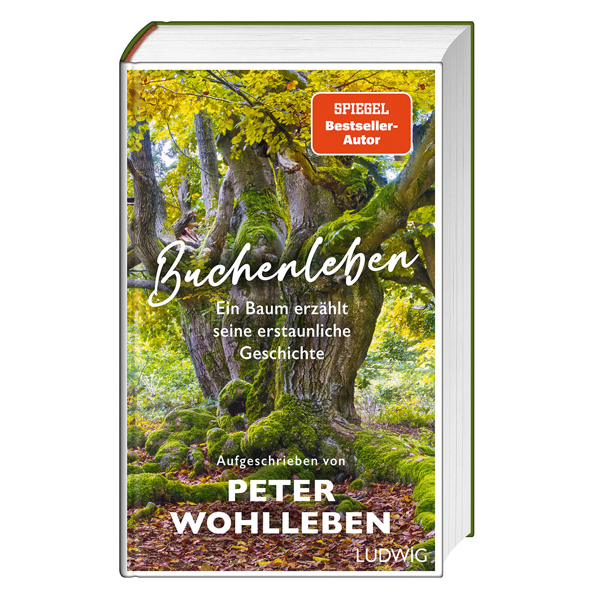 Buchenleben von ‎ Ludwig Buchverlag