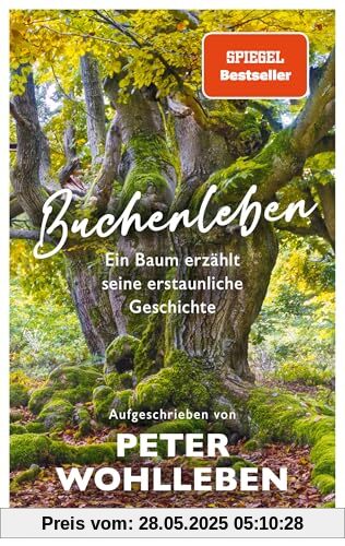 Buchenleben: Ein Baum erzählt seine erstaunliche Geschichte