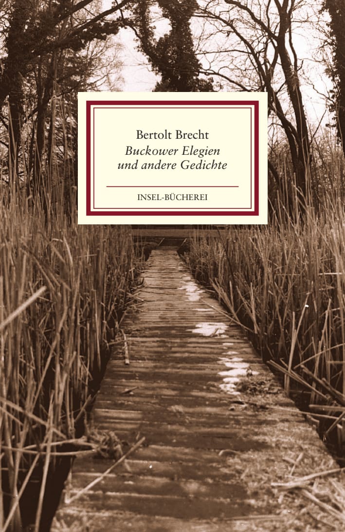 Buckower Elegien und andere Gedichte von Insel Verlag