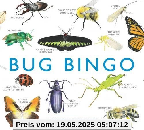 Bug Bingo (Magma for Laurence King)