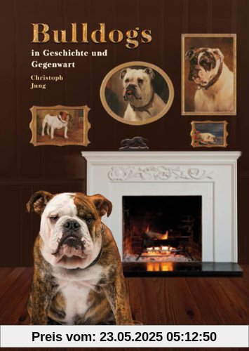 Bulldogs in Geschichte und Gegenwart