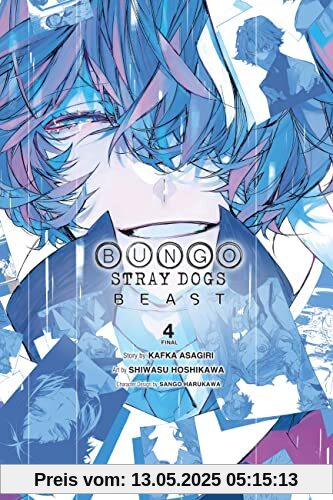 Bungo Stray Dogs: Beast, Vol. 4