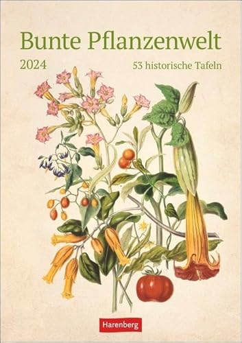 Bunte Pflanzenwelt Wochenplaner 2024. 53 historische Tafeln zum Bestaunen in einem Wandkalender 2024 zum Eintragen. Kalender für Pflanzenfreunde und Kunstbegeisterte: 53 historische Tafeln Bunte Pflanzenwelt Wochenplaner 2024. 53 historische Tafeln zum Bestaunen in einem Wandkalender 2024 zum Eintragen. Kalender für Pflanzenfreunde und Kunstbegeisterte: 53 historische Tafeln