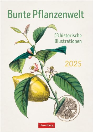 Bunte Pflanzenwelt Wochenplaner 2025 - 53 historische Illustrationen: 53 historische Tafeln zum Bestaunen in einem Wandkalender 2025 zum Eintragen. ... und Kunstbegeisterte (Wochenplaner Harenberg)