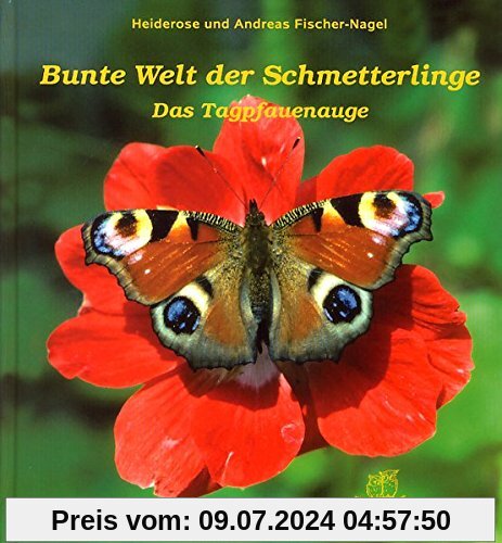 Bunte Welt der Schmetterlinge: Das Tagpfauenauge