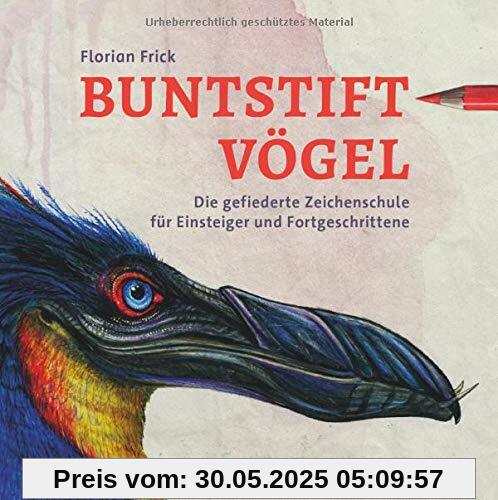Buntstiftvögel: Die gefiederte Zeichenschule für Einsteiger und Fortgeschrittene